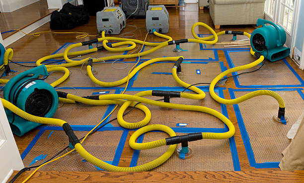 Professional Crawl Space Water Removal technician working in Villa Rica, GA